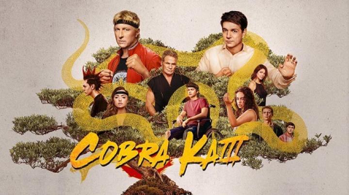 مسلسل Cobra Kai الموسم الثالث مترجم