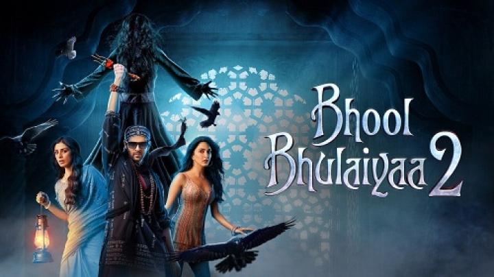 مشاهدة فيلم Bhool Bhulaiyaa 2 2022 مترجم شاهد فور يو