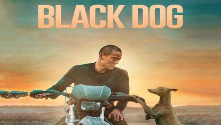 مشاهدة فيلم Black Dog 2024 مترجم شاهد فور يو