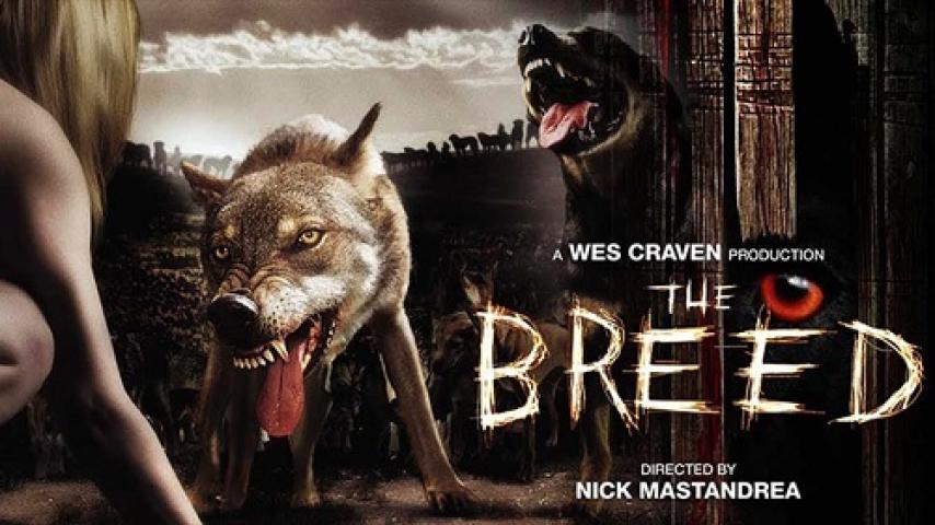 مشاهدة فيلم The Breed 2006 مترجم شاهد فور يو